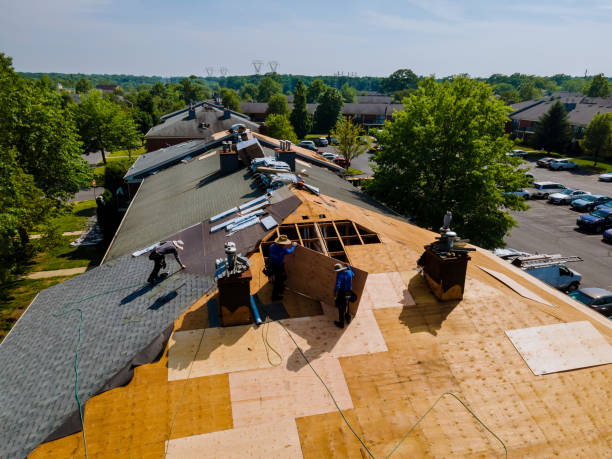 Best Metal Roofing Contractor  in Fort Campbell North, KY